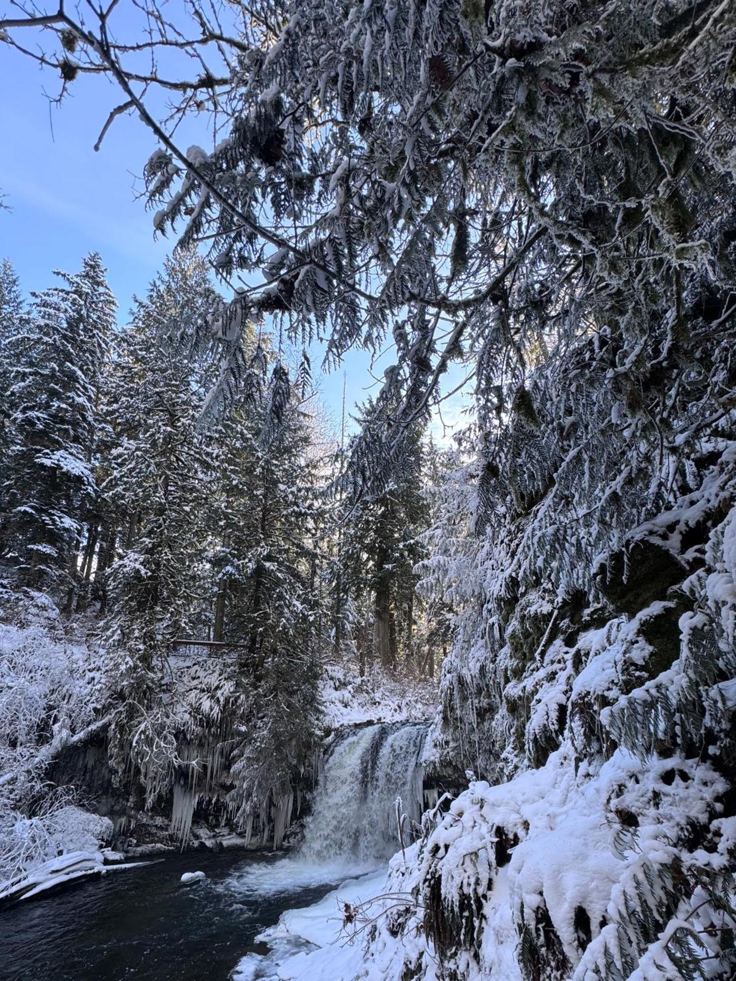 Cowichan Valley Guest Cottage เลดีสมิธ ภายนอก รูปภาพ